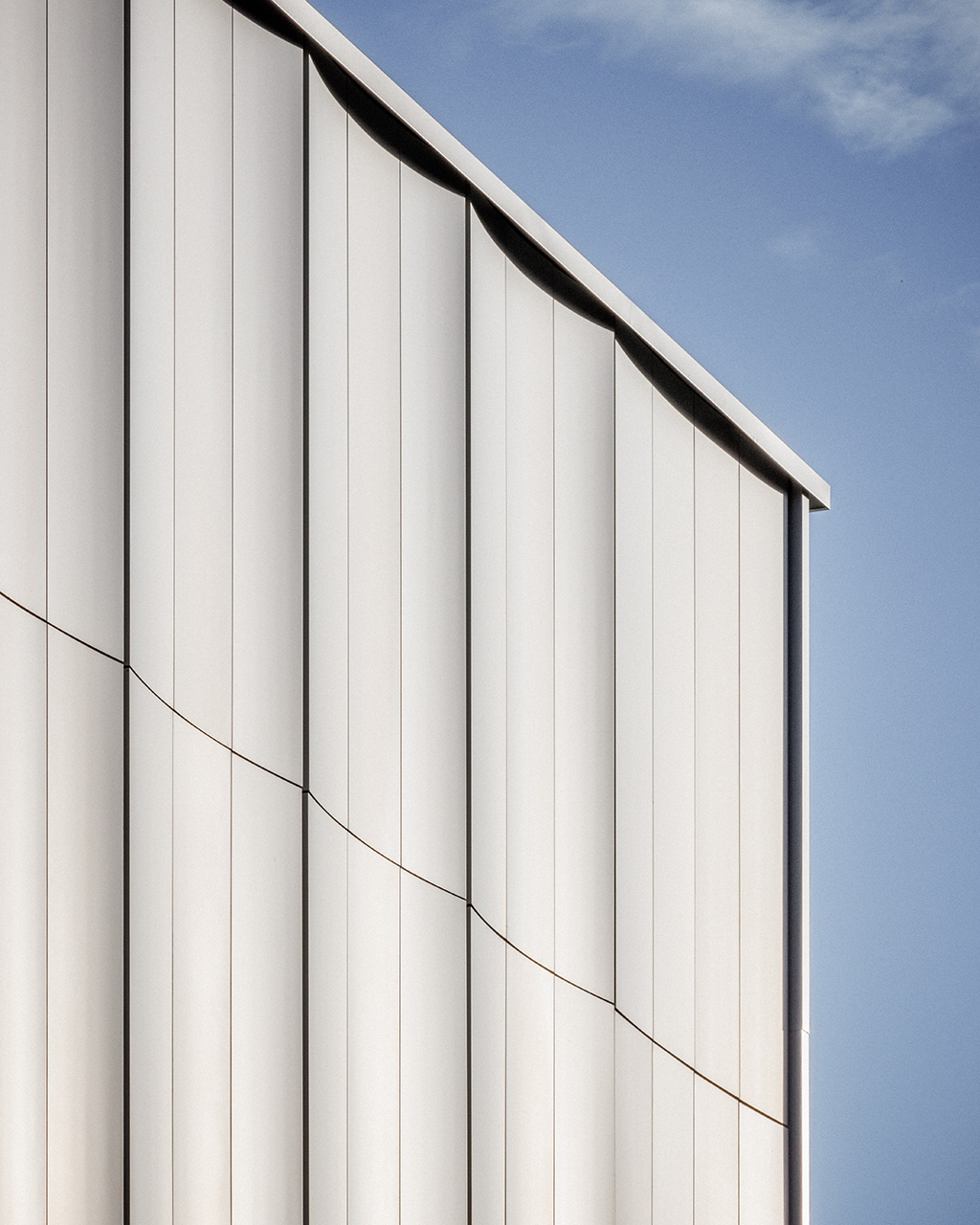 ARCHI5_DOJO DELAUNE_©11h45-HD-10