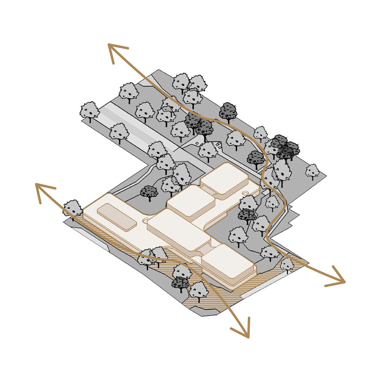 Marly-Ecole-Schéma01