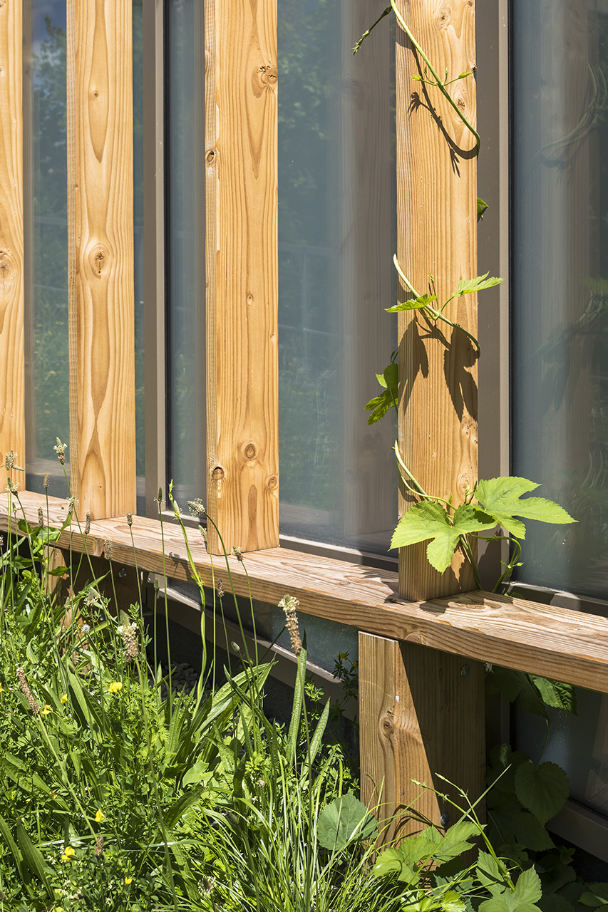 archi5-Paris-GymnasePoissonniers (4)